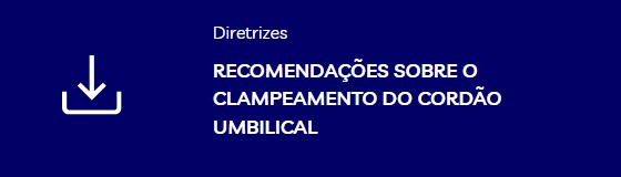 Captura de tela 2025-07-04 165850.jpg