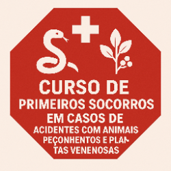 ChatGPT Image 28 de set. de 2025, 11_09_52.png